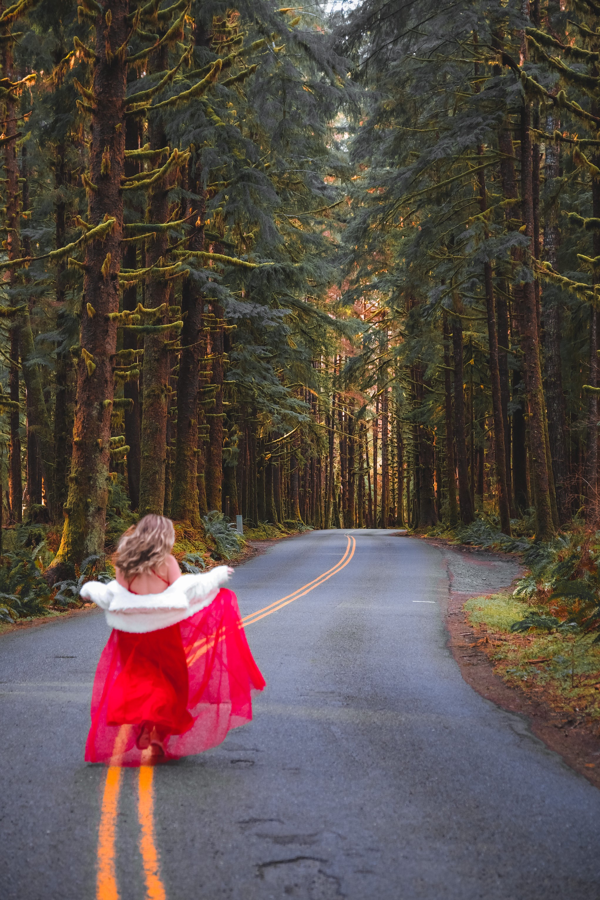 5 Stops not to miss on an Olympic National Park Road Trip