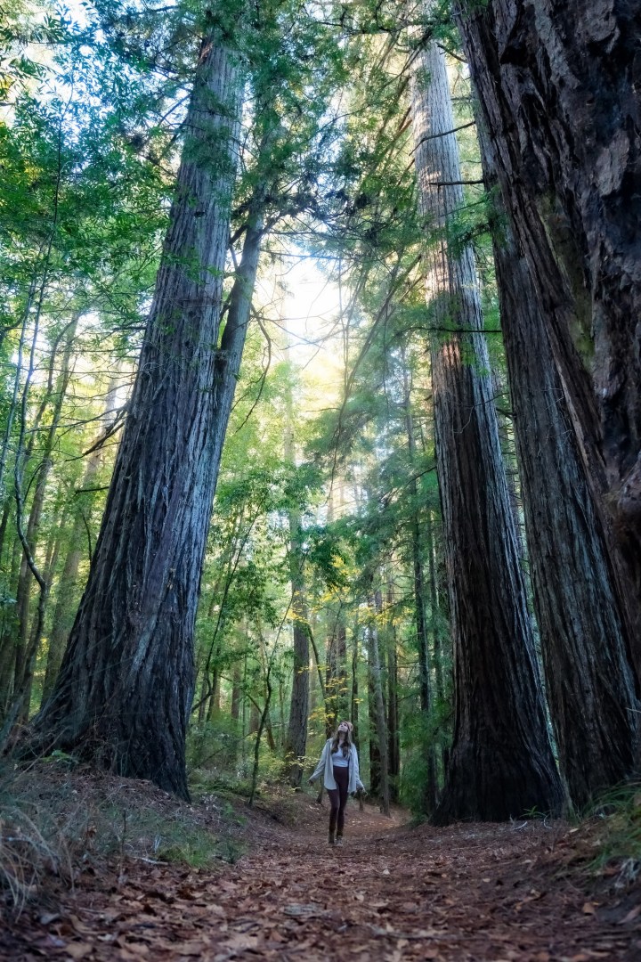 A weekend escape to the Mendocino Coast