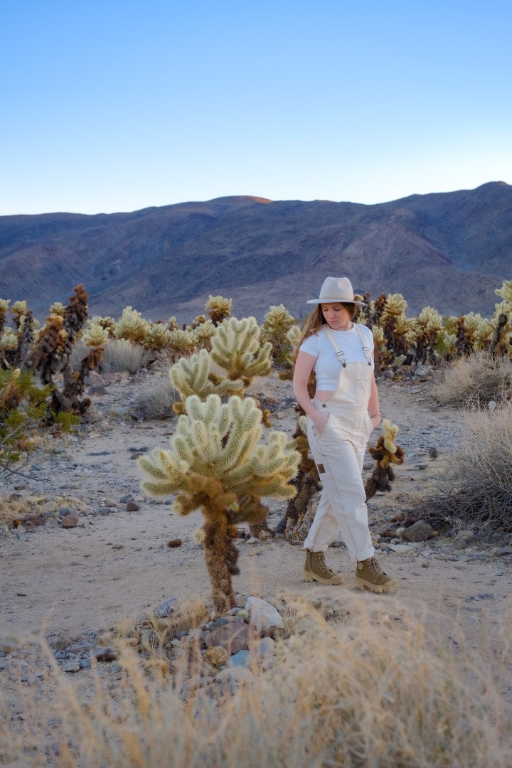 A perfect weekend in Joshua tree